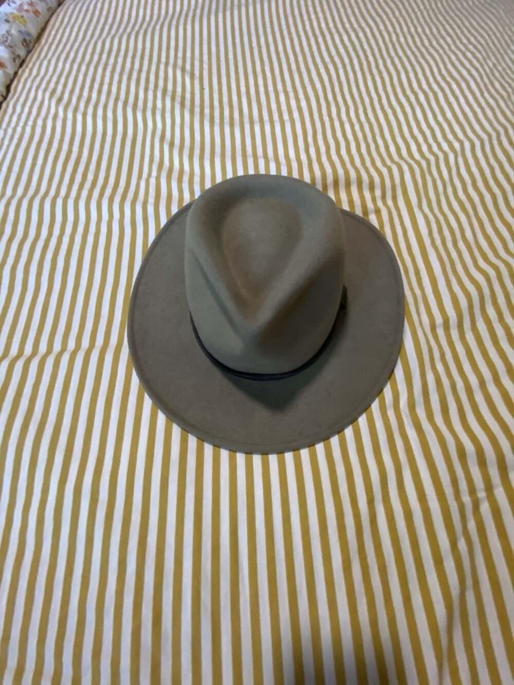 Pendleton Wool Felt Fedora Hat Size Large green Brown Leather Band